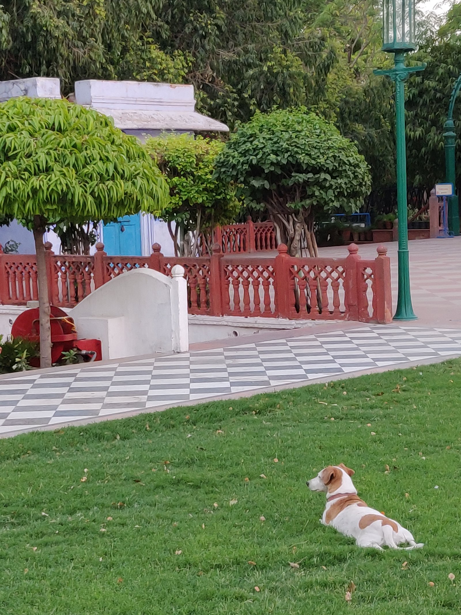 Pet-Friendly Retreats