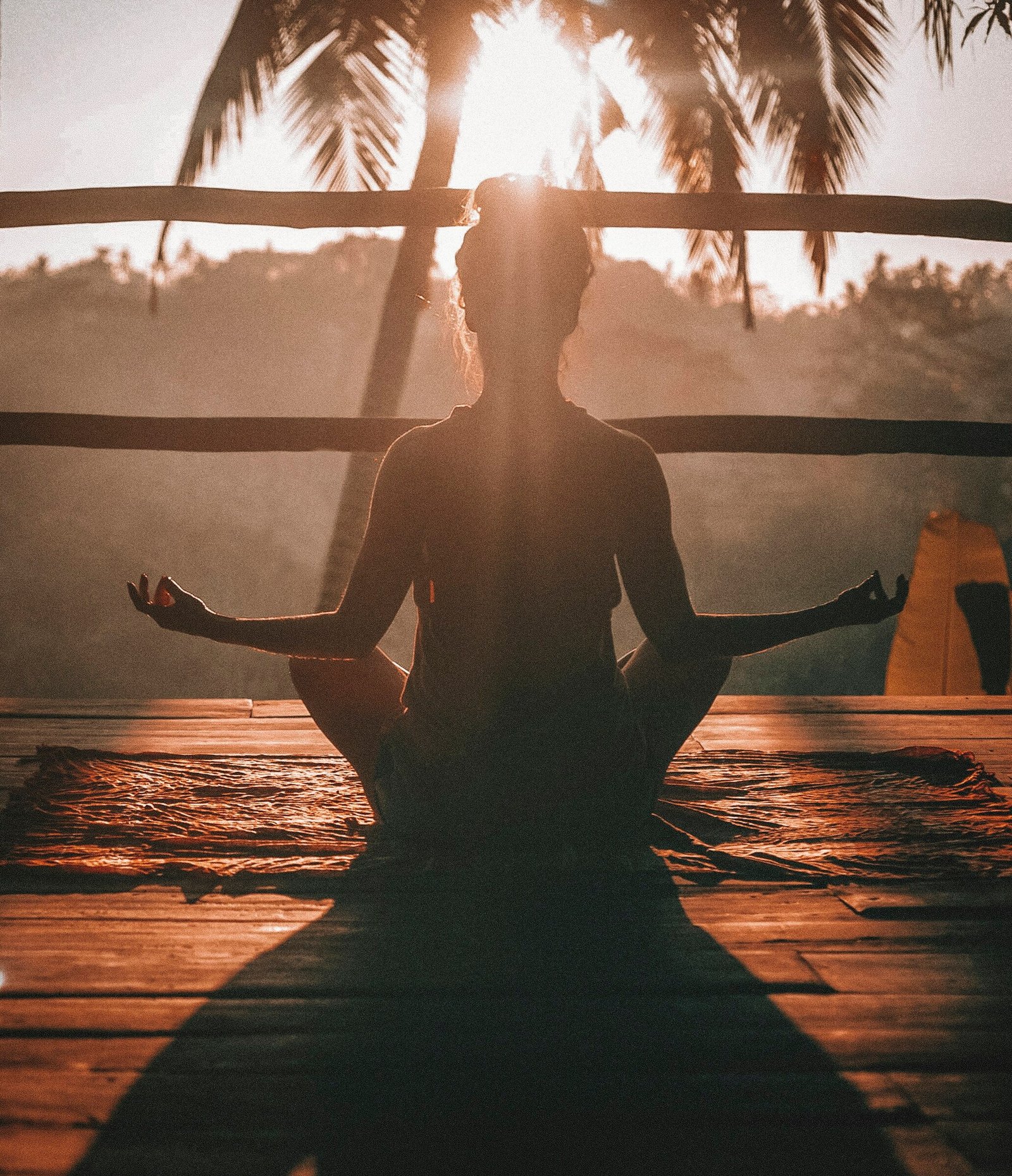 Meditation Mornings