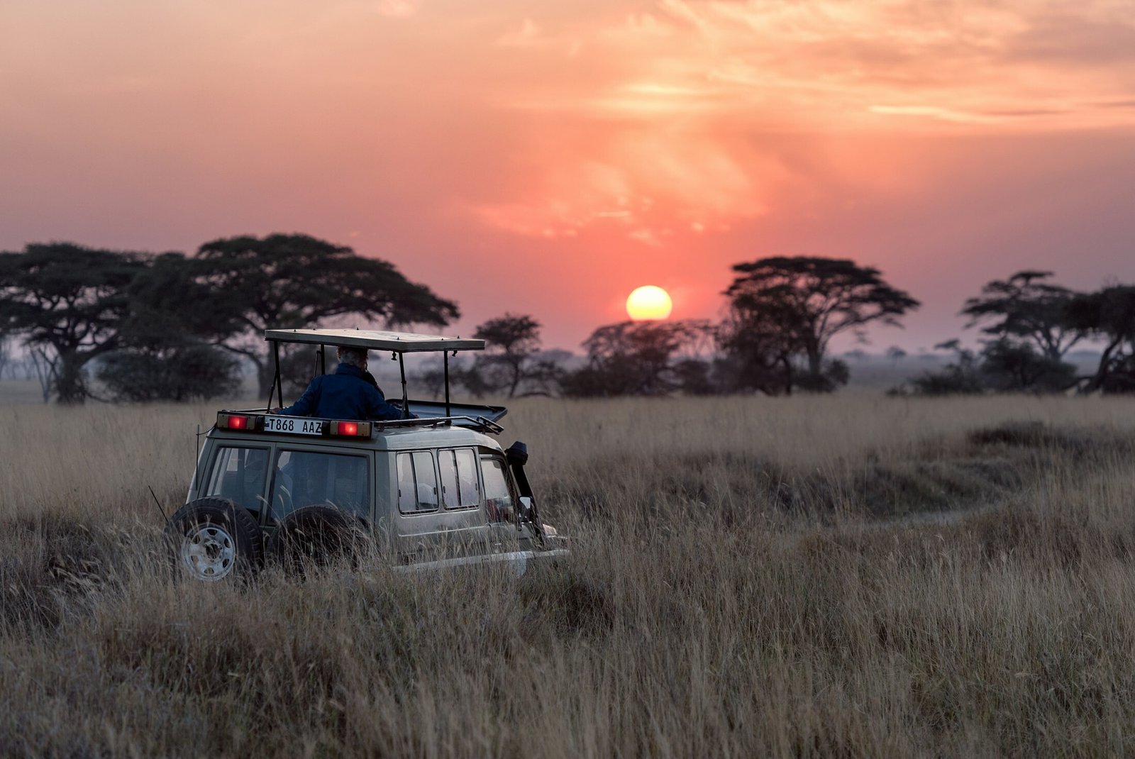Jeep Safari Expeditions