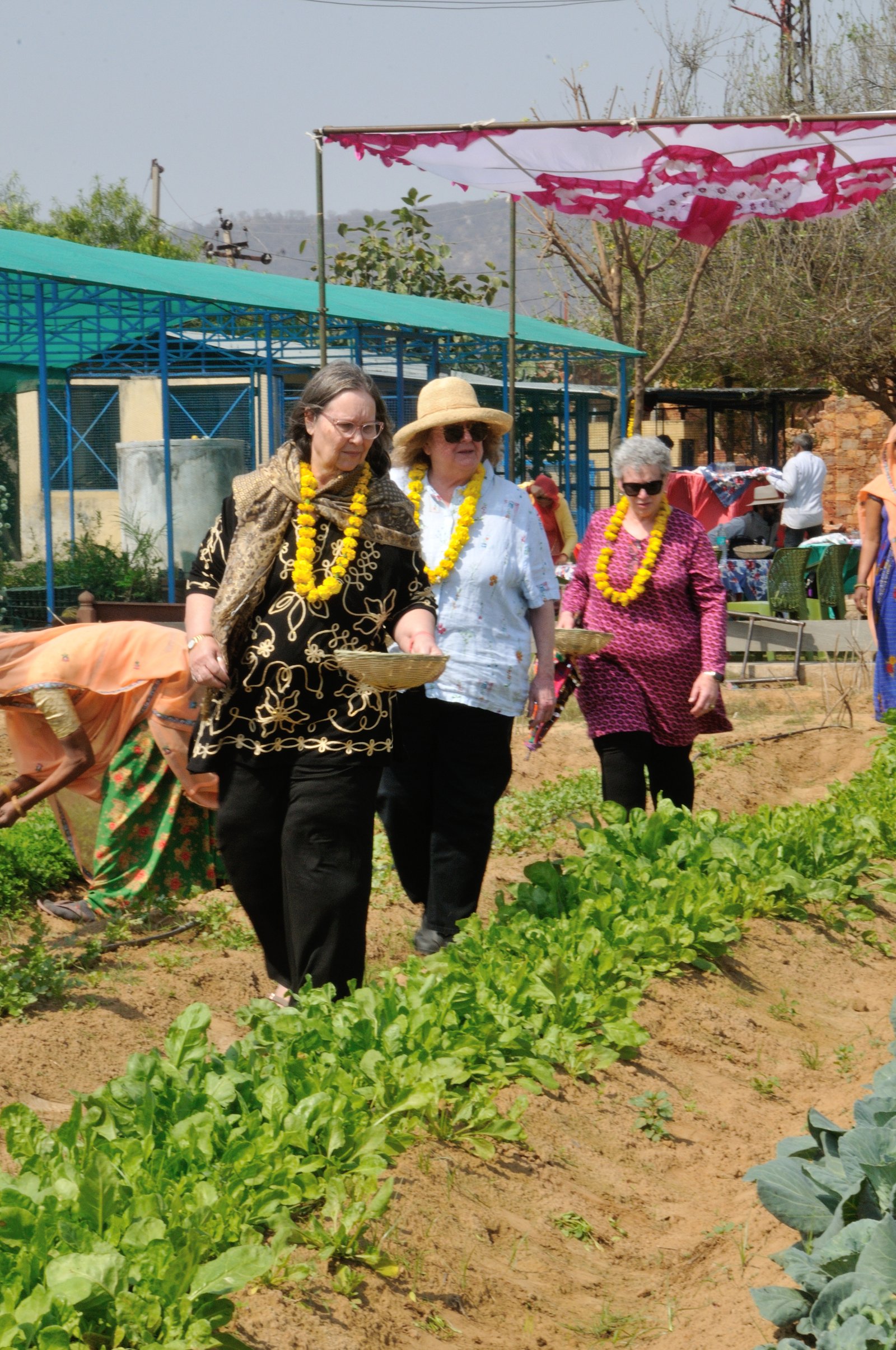 Organic Farming at Diggi Bagh